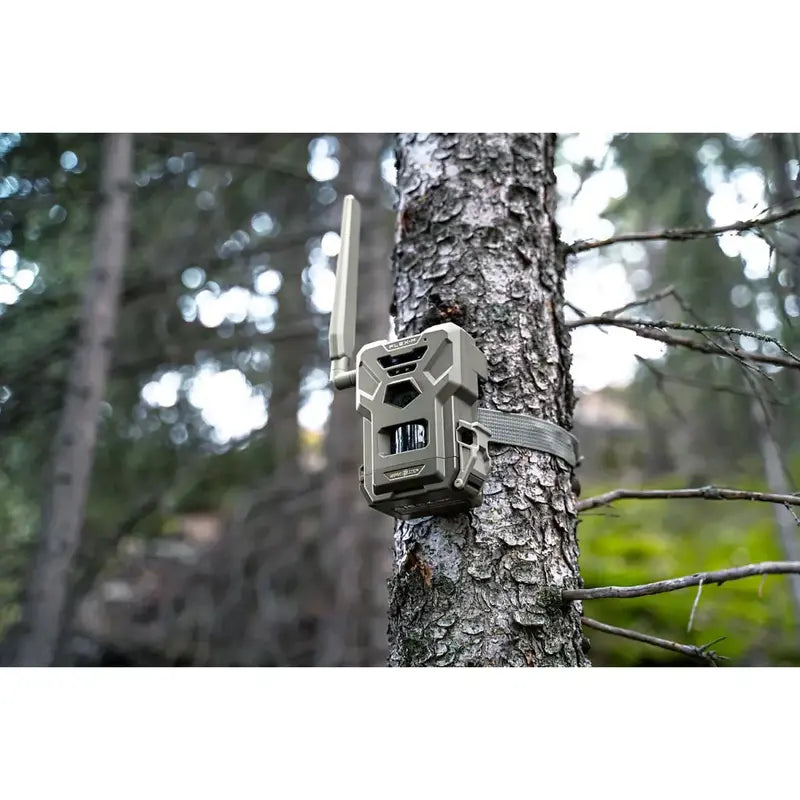 SpyPoint Flex-M Trail Camera Twin Pack  28MP Imaging, 0.4s Trigger Speed, Infrared Night Vision, Includes SD Cards