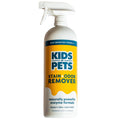 Kids 'n' Pets Instant All-Purpose Stain & Odor Remover, 27 fl oz