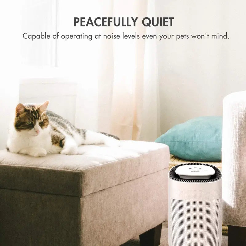 Sorbi 1000ml Rechargeable Desiccant Dehumidifier  HEPA Air Purifier with Touch Controls and Variable Fan Speed