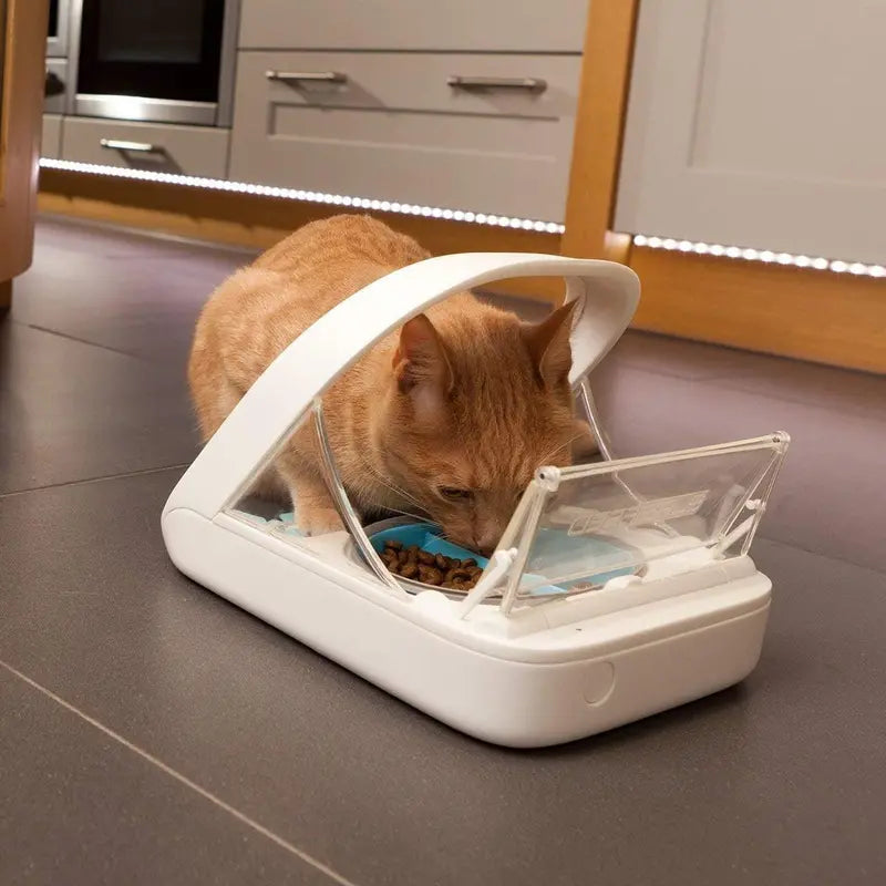 Microchip-Activated Automatic Pet Feeder — Dual-Compartment Design for Wet or Dry Food, Includes Bonus Towel