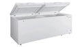 Hamilton Beach 21 Cu. Ft. Double-Door Chest Freezer – Energy-Efficient White Unit (HZ9212)
